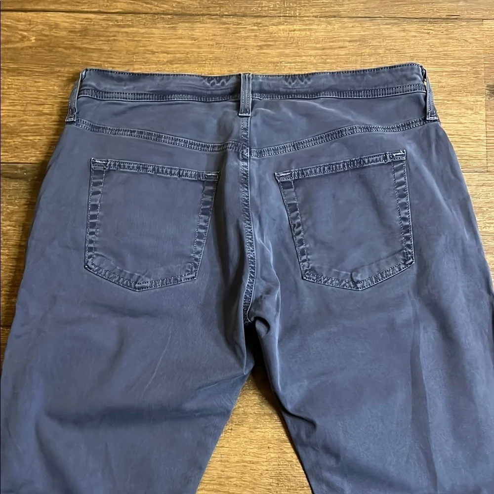 Adriano Goldschmied mens navy pants size 32